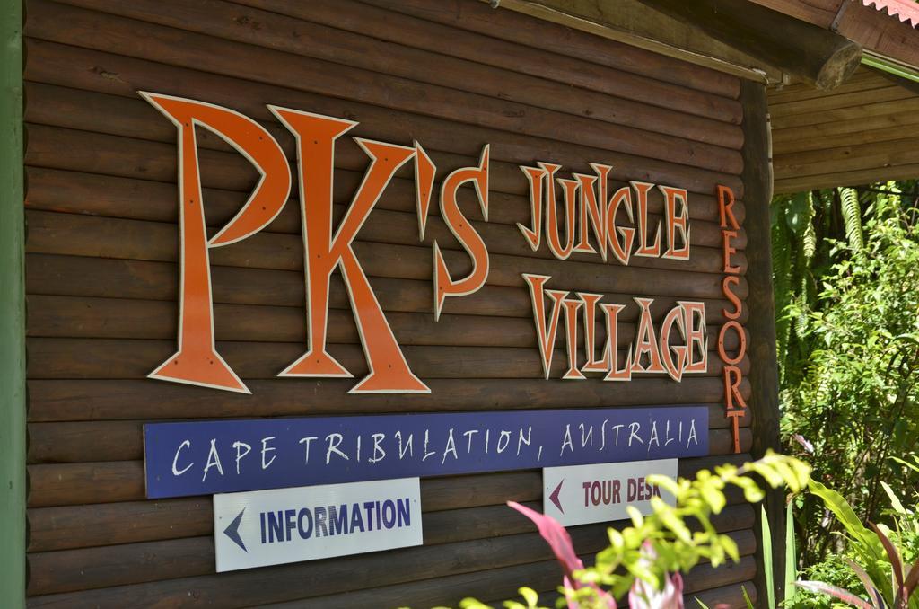 Pk'S Jungle Village Cape Tribulation Exterior foto