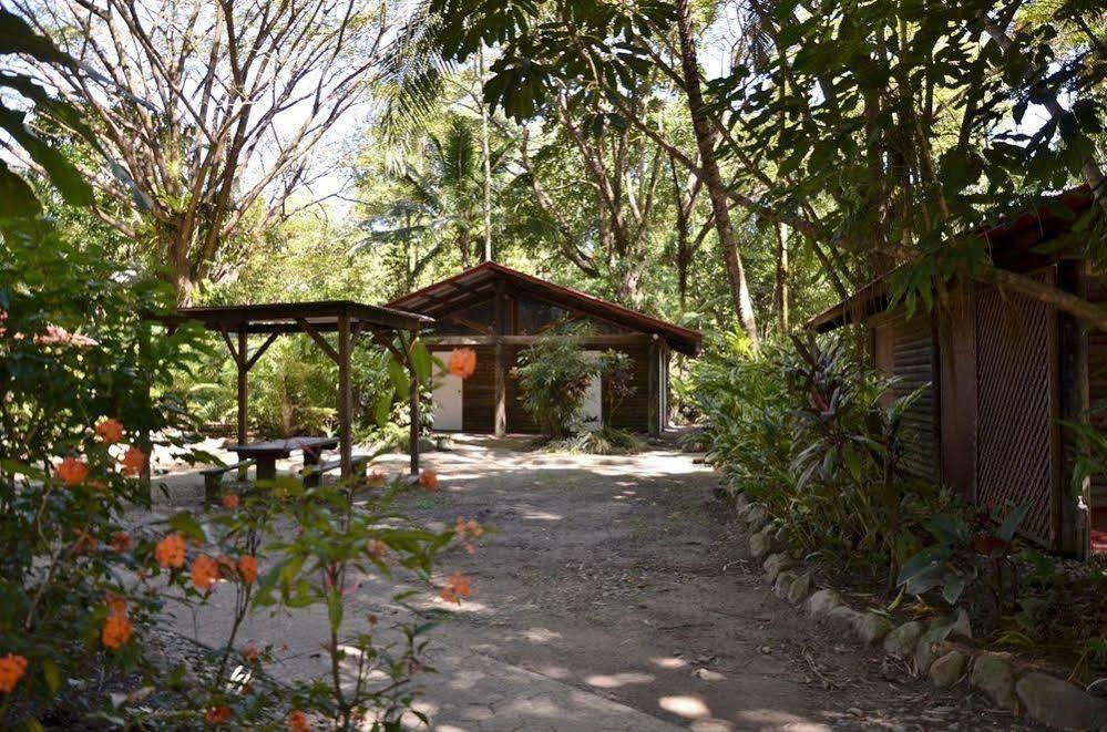 Pk'S Jungle Village Cape Tribulation Exterior foto